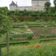 jardin miscanthus