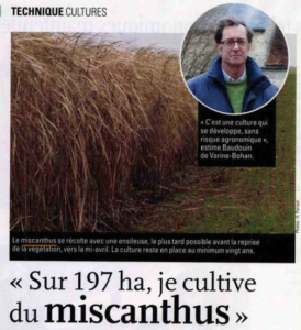 miscanthus Eure et Loir